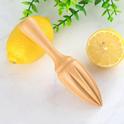 presse-agrumes-manuel-pose-sur-citron