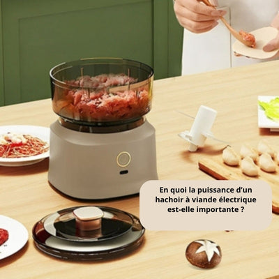hachoir-a-viande-electrique-puissance