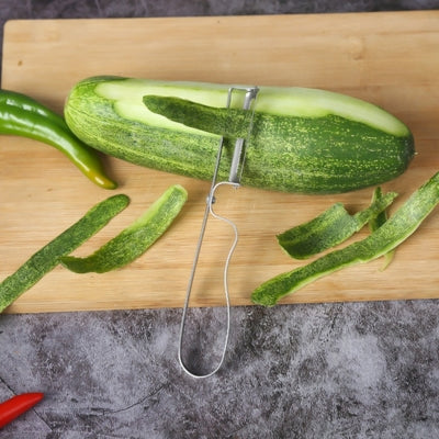 econome-legume-design-unique