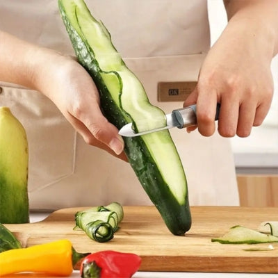 econome-legume-ergonomique